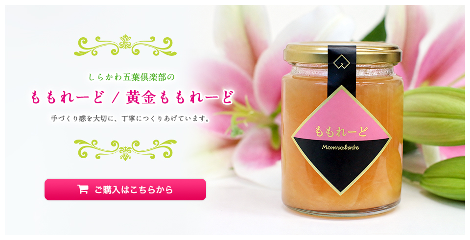 しらかわ五葉倶楽部 ECサイト